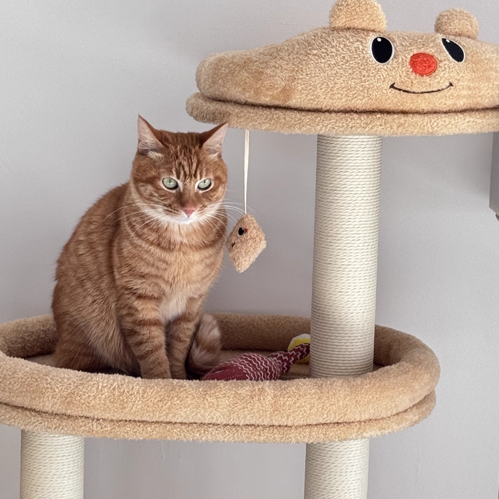 Stylish Rectangular Medium-Density Fiberboard Cat Tree for Living Room-Orizon Depot