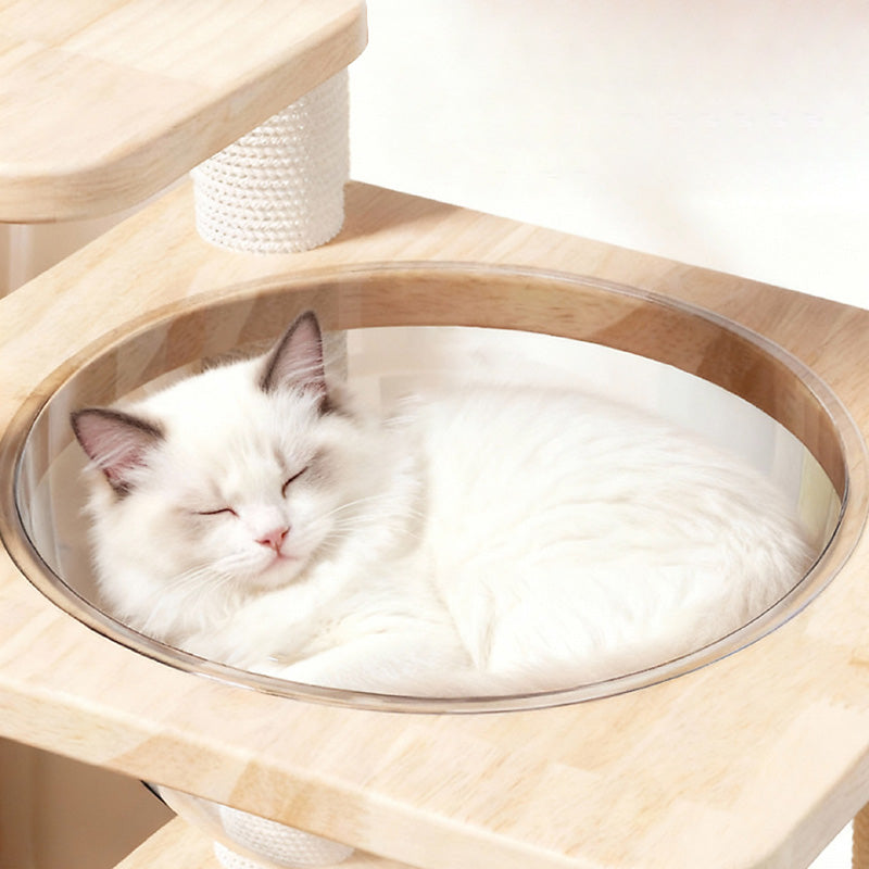Scandinavian 4-Tier Square Pine Cat Tree with Hemp Rope for Living Room-Orizon Depot