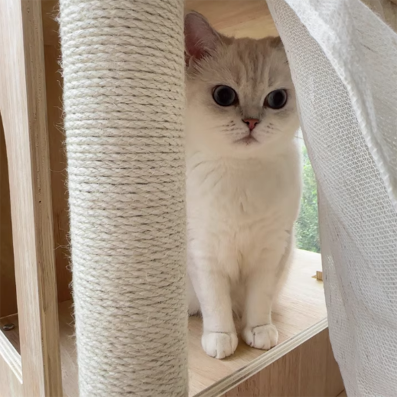 Scandinavian Rectangular Pine Solid Wood 4-Tier Cat Tree for Living Room-Orizon Depot