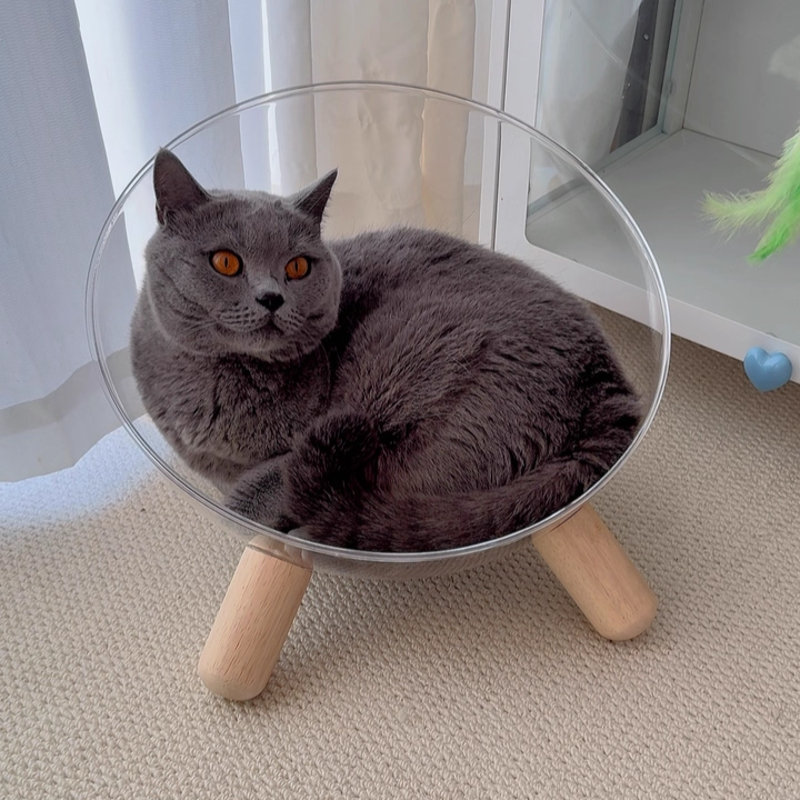 Scandinavian Round Rubberwood Cat Bed with Clear PET for Bedroom-Orizon Depot