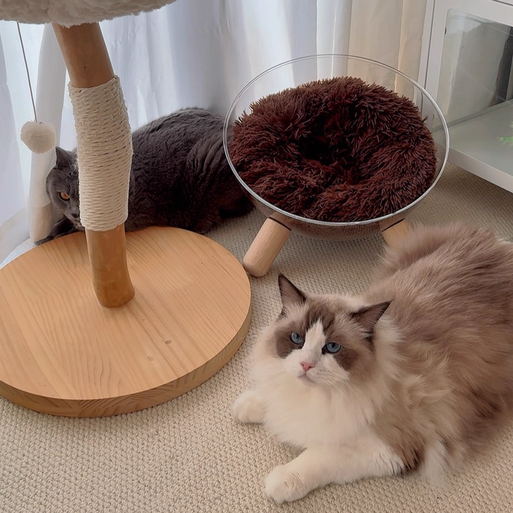 Scandinavian Round Rubberwood Cat Bed with Clear PET for Bedroom-Orizon Depot