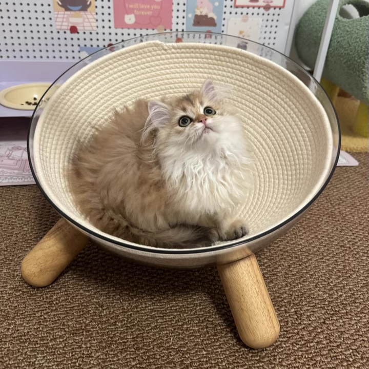 Scandinavian Round Rubberwood Cat Bed with Clear PET for Bedroom-Orizon Depot