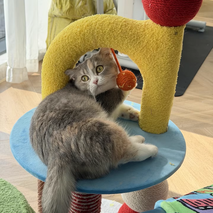 Modern 2-Tier Cat Tree with Velvet Fabric and Hemp Rope for Living Room-Orizon Depot