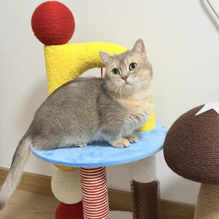 Modern 2-Tier Cat Tree with Velvet Fabric and Hemp Rope for Living Room-Orizon Depot