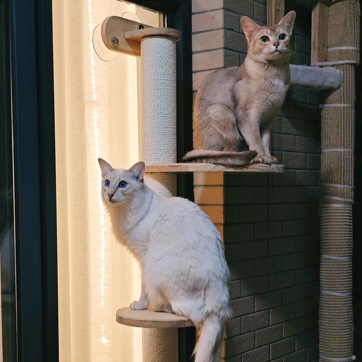 Scandinavian Round Solid Wood Cat Tree with 3 Tiers for Living Room-Orizon Depot