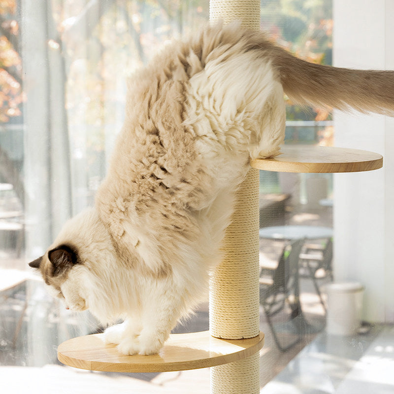 Scandinavian Round Solid Wood Cat Tree with 3 Tiers for Living Room-Orizon Depot