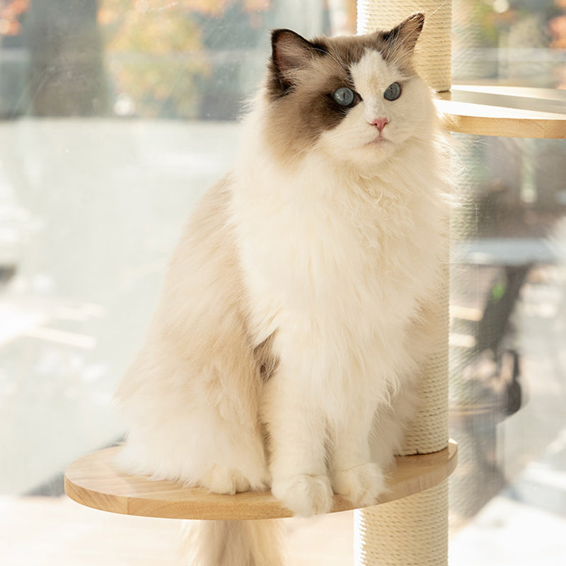 Scandinavian Round Solid Wood Cat Tree with 3 Tiers for Living Room-Orizon Depot