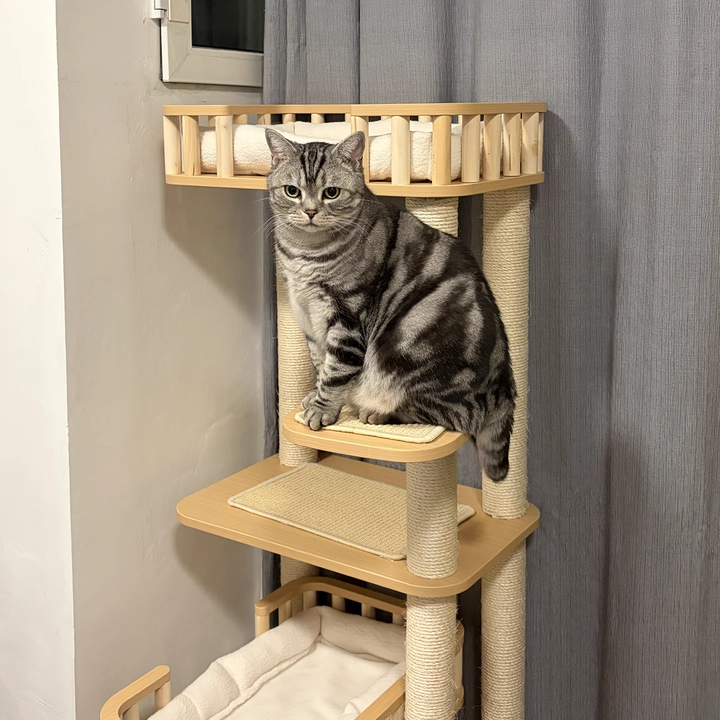Modern Scandinavian 4-Tier Solid Wood Cat Tree with Velvet Fabric-Orizon Depot