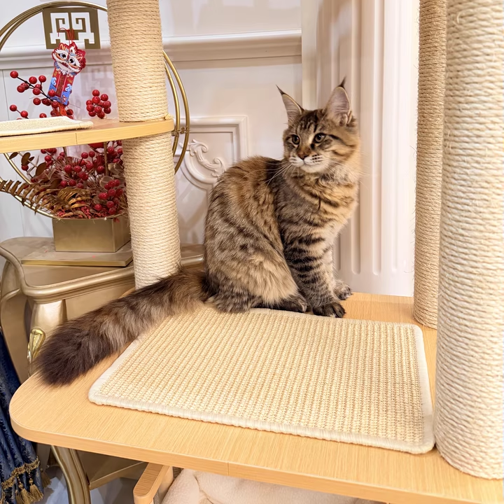 Modern Scandinavian 4-Tier Solid Wood Cat Tree with Velvet Fabric-Orizon Depot