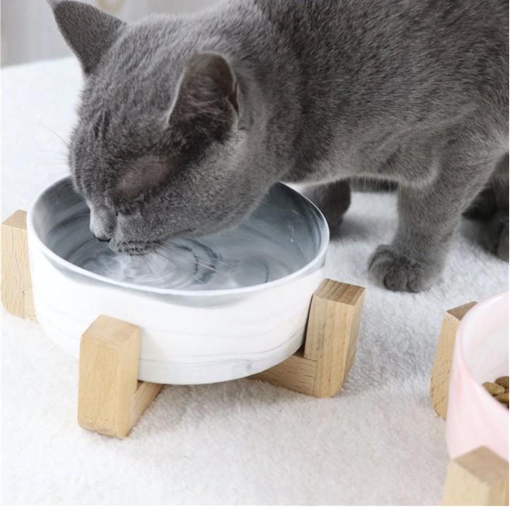 Ceramic Pet Feeding Bowls - Durable and Stylish Design-Orizon Depot