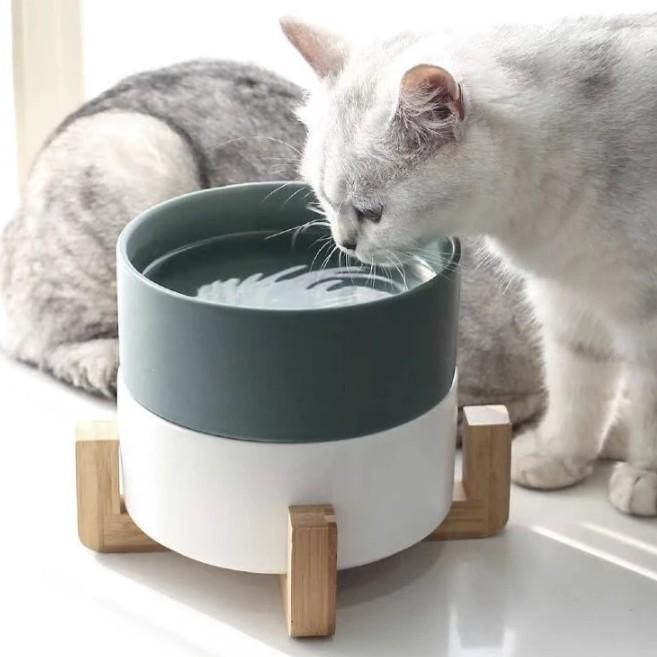 Ceramic Pet Feeding Bowls - Durable and Stylish Design-Orizon Depot