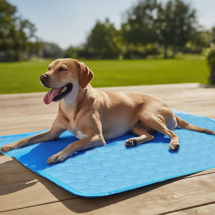 Self-Cooling Mat for Pets - Ideal for Hot Summer Days-Orizon Depot