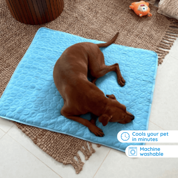Self-Cooling Mat for Pets - Ideal for Hot Summer Days-Orizon Depot