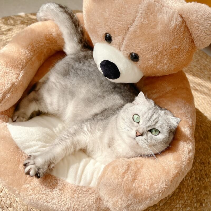 Cute Detachable Cuddly Bear Cat Bed for Cozy Comfort-Orizon Depot
