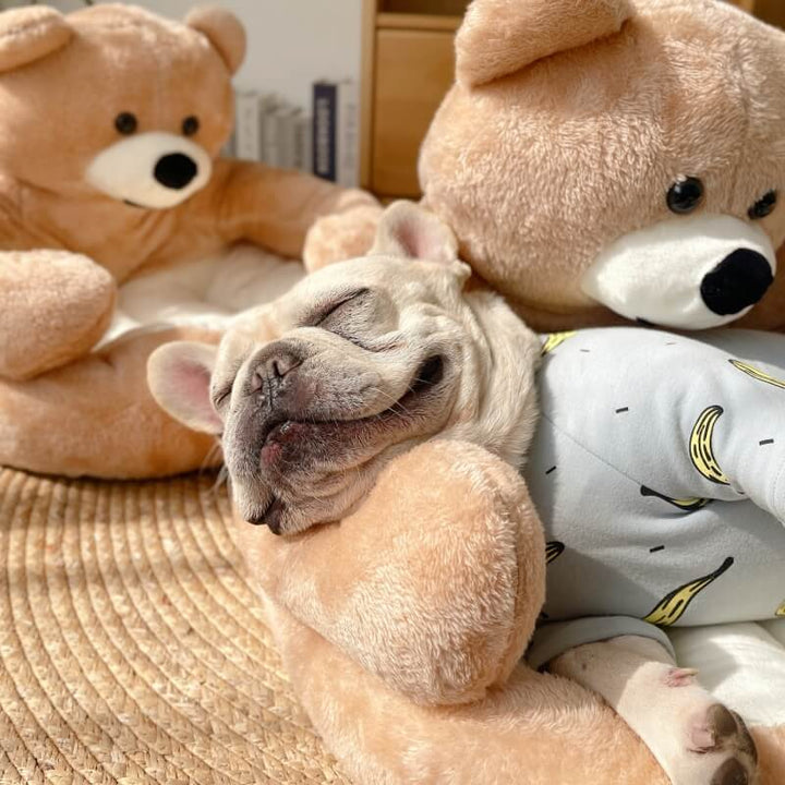 Cute Detachable Cuddly Bear Cat Bed for Cozy Comfort-Orizon Depot