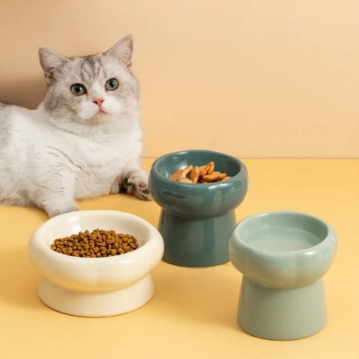 Elevated Ceramic Cat Bowls for Comfortable Dining-Orizon Depot