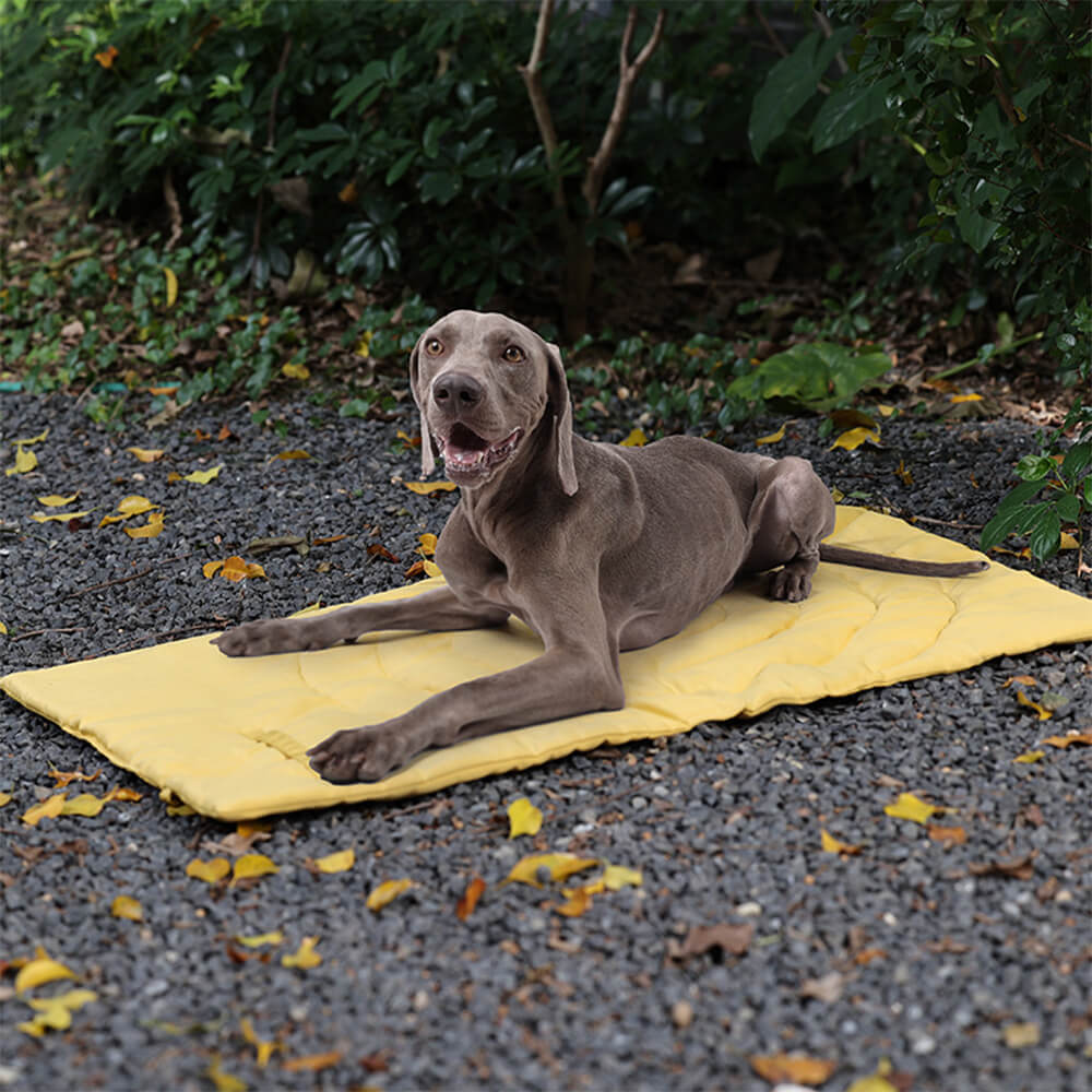 Folding Waterproof Portable Dog Car Seat Mat for Camping-Orizon Depot