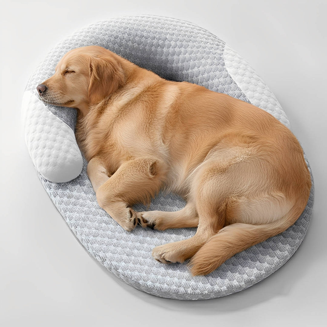 Cooling Orthopedic Dog Bed for Comfort and Support
