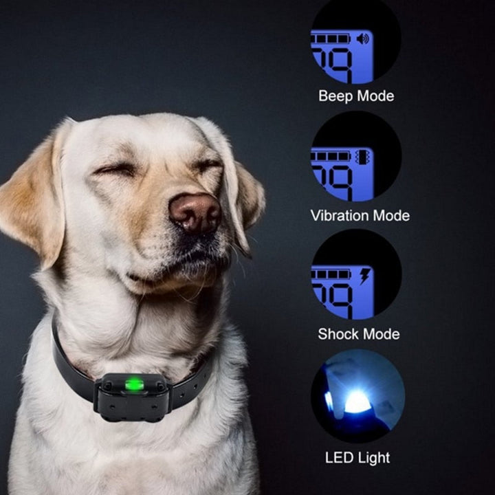 Electric Waterproof Dog Training Collar - Long Range Control-Orizon Depot