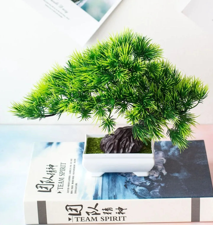 Small Tree Pot for Bonsai Plants - Perfect for Indoor Gardening-Orizon Depot