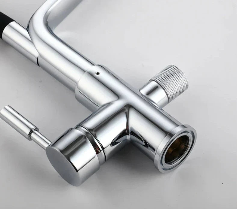 Double Outlet Drinking Water Faucet Filtered Kitchen Faucet-Orizon Depot