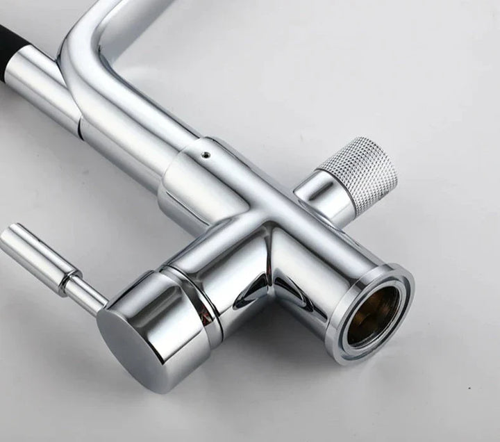 Double Outlet Drinking Water Faucet Filtered Kitchen Faucet-Orizon Depot