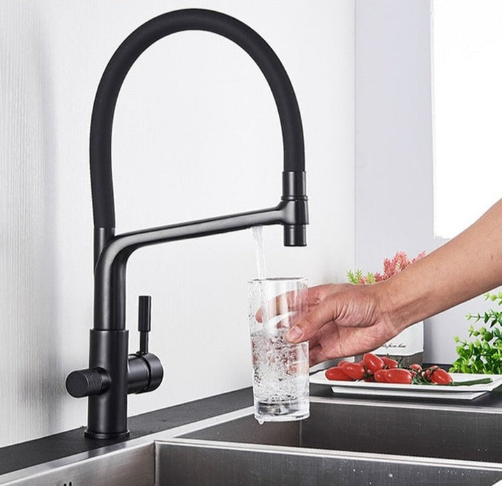 Double Outlet Drinking Water Faucet Filtered Kitchen Faucet-Orizon Depot