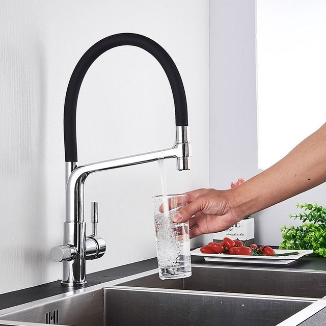 Double Outlet Drinking Water Faucet Filtered Kitchen Faucet-Orizon Depot