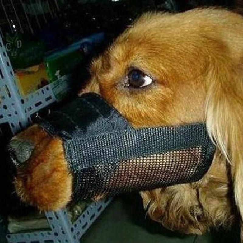 Adjustable Pet Dog Muzzle for Barking, Chewing, and Grooming-Orizon Depot