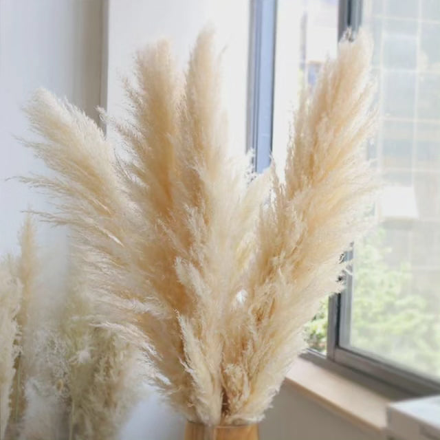 Large Fluffy Pampas Grass - Decorative Dried Plant for Home Decor-Orizon Depot