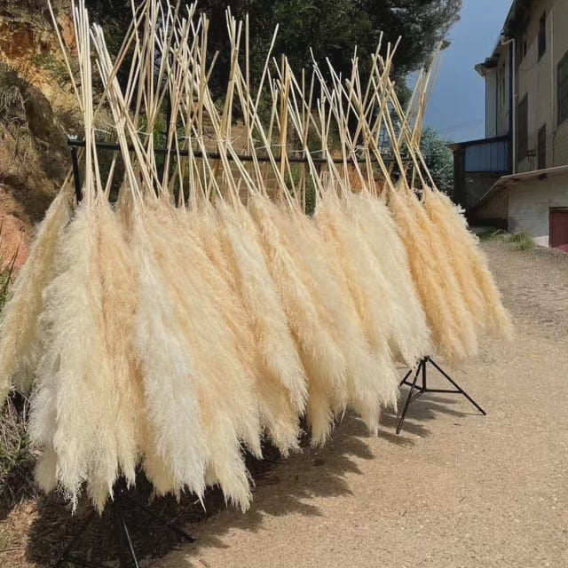 Large Fluffy Pampas Grass - Decorative Dried Plant for Home Decor-Orizon Depot