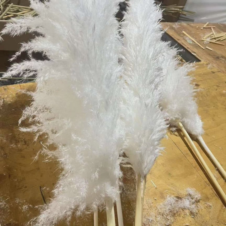 Large Fluffy Pampas Grass - Decorative Dried Plant for Home Decor-Orizon Depot