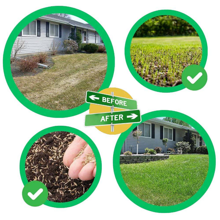 Instant Green Grass Seed Mat for Quick Lawn Repair-Orizon Depot