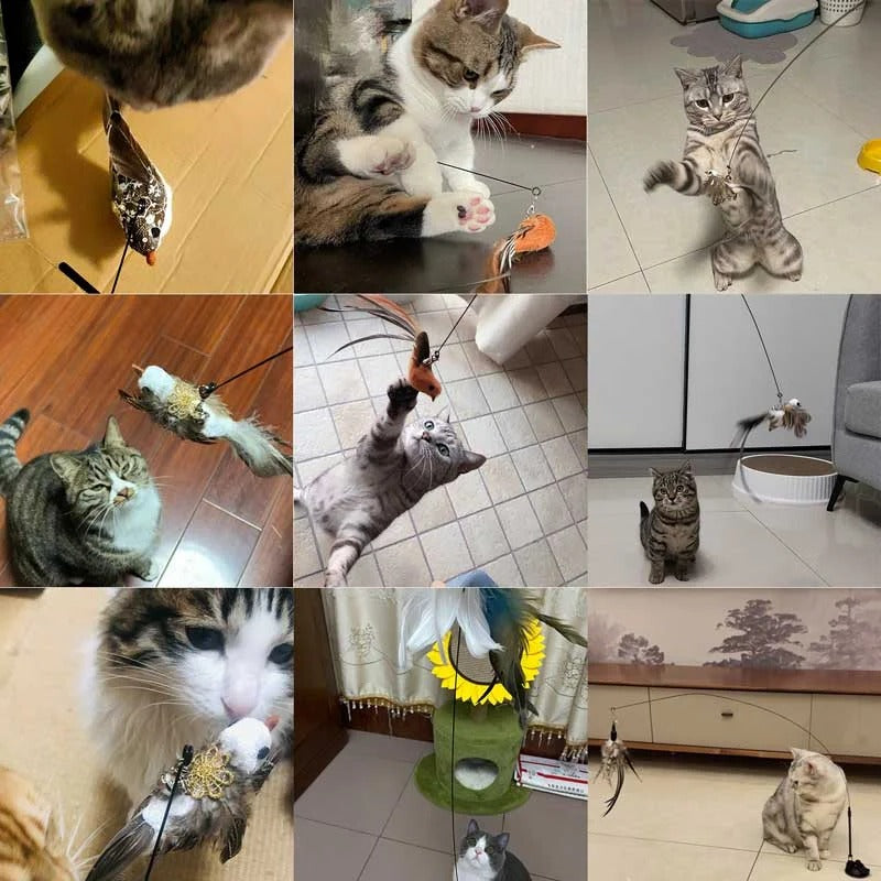 Interactive Bird Simulation Toy Set for Cats-Orizon Depot