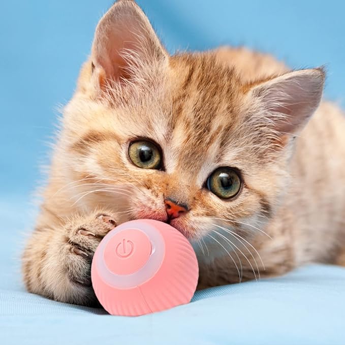 Engaging Interactive Play Ball for Cats and Kittens