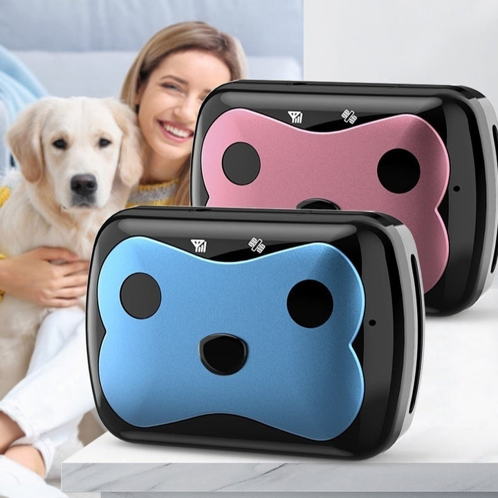 Dog GPS Tracker | Location Tracking Collar