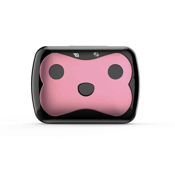 Dog GPS Tracker | Location Tracking Collar
