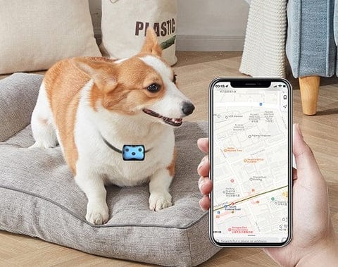 Dog GPS Tracker | Location Tracking Collar
