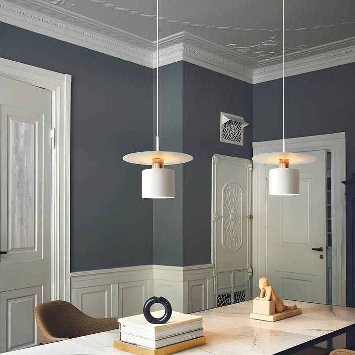 Modern Minimalist Pendant Light | Stylish Ceiling Fixture