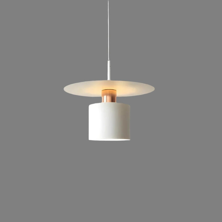 Modern Minimalist Pendant Light | Stylish Ceiling Fixture