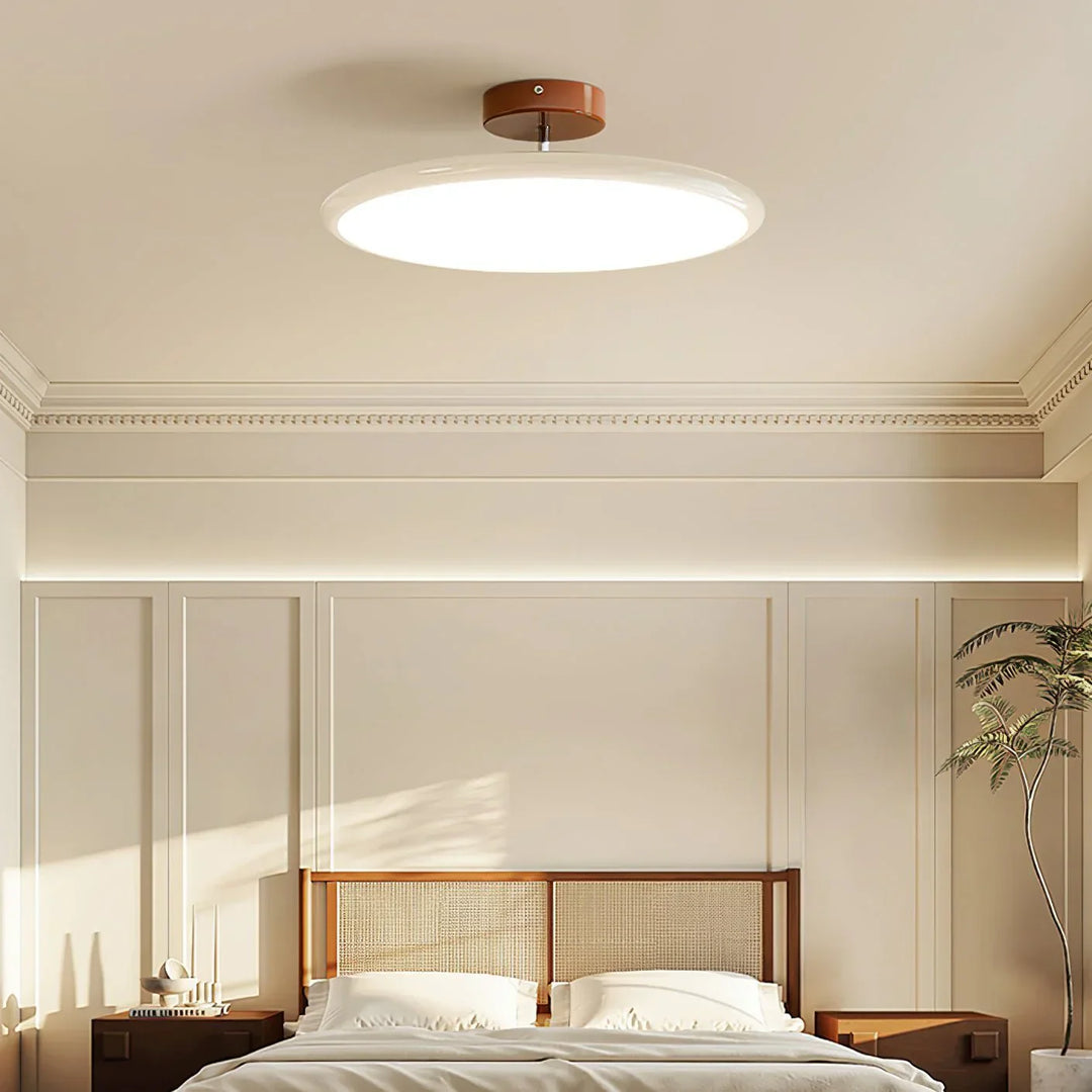 Adjustable Minimalist Modern Ceiling Light Fixture