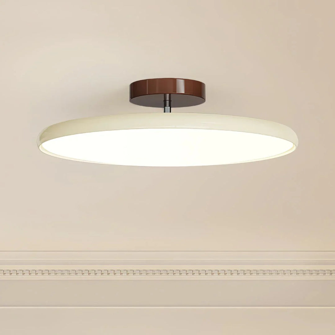 Adjustable Minimalist Modern Ceiling Light Fixture