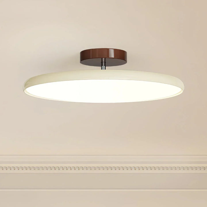 Adjustable Minimalist Modern Ceiling Light Fixture