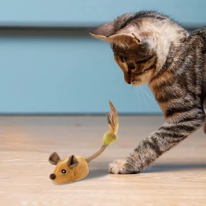 Interactive Cat Mouse Toy