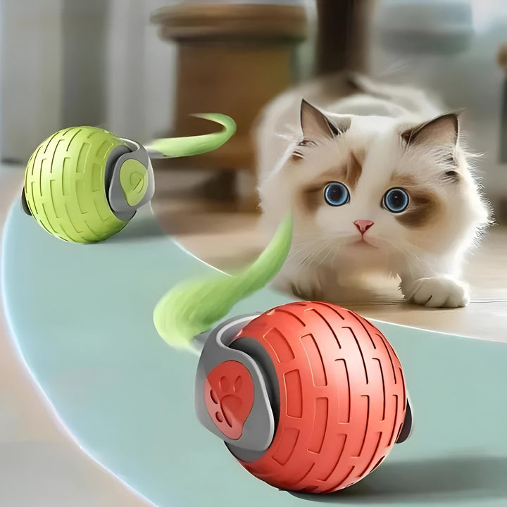 Interactive Cat Toy for Engaging Playtime and Exercise