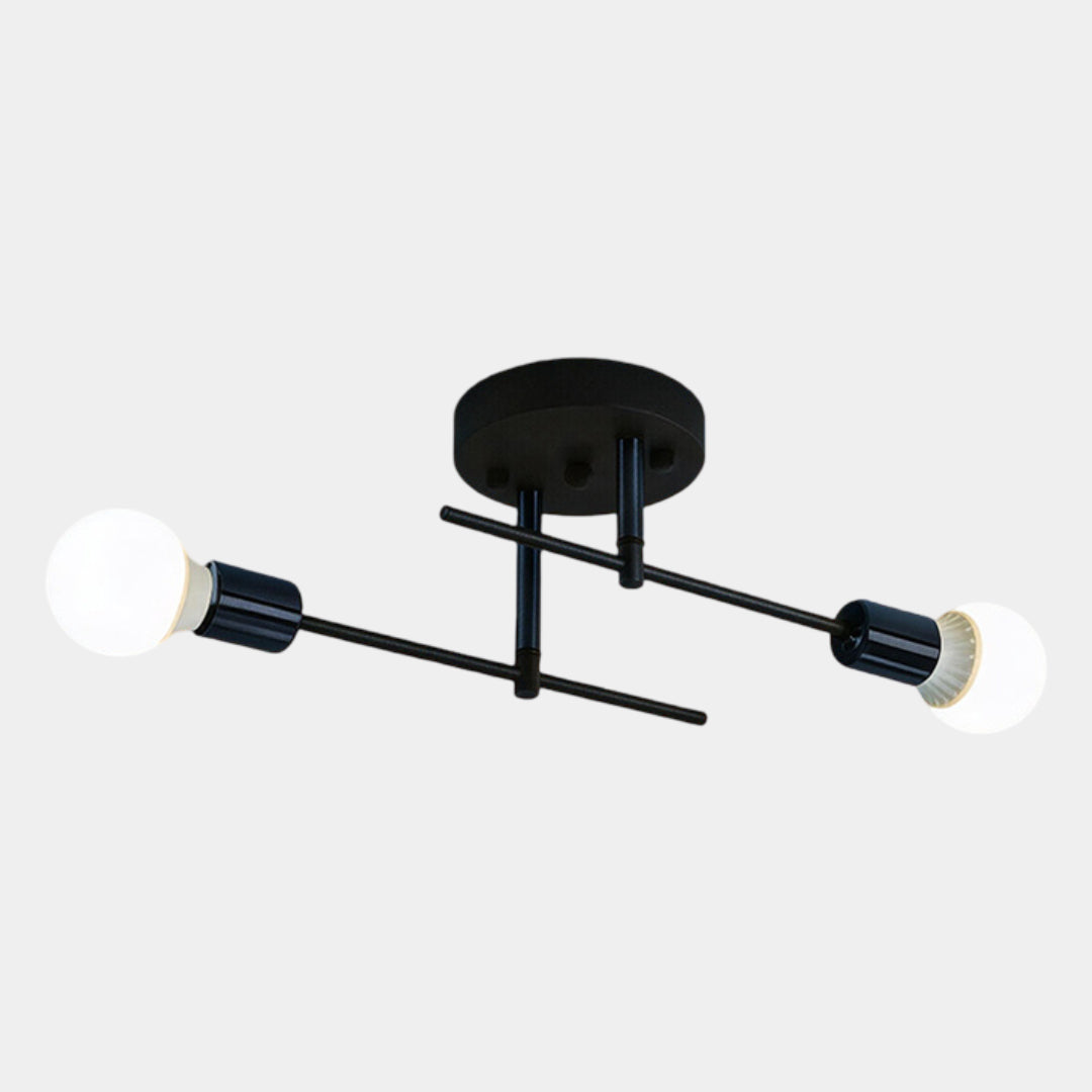 Contemporary 2-Light Ceiling Fixture | Black and Gold Flush Mount Light