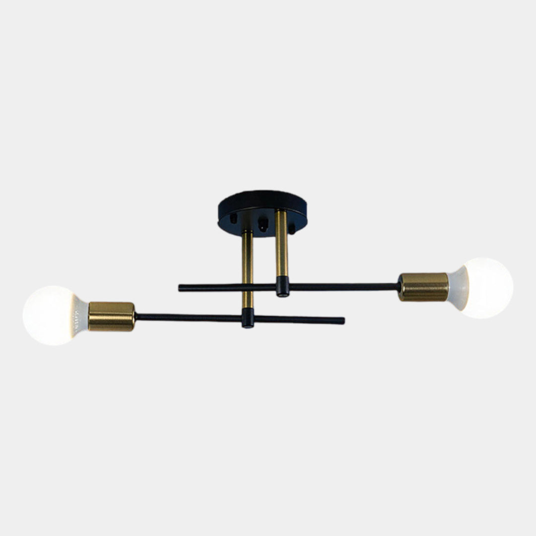 Contemporary 2-Light Ceiling Fixture | Black and Gold Flush Mount Light