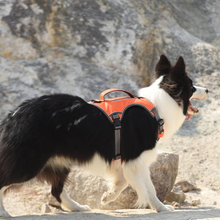 Multifunctional Explosion-Proof Anti-Pull Harness for Medium to Large Dogs-Orizon Depot