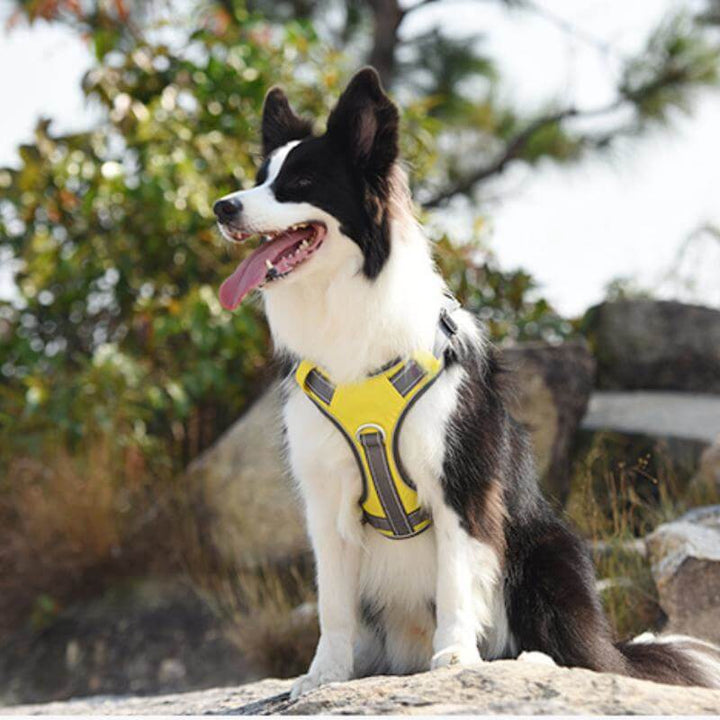 Multifunctional Explosion-Proof Anti-Pull Harness for Medium to Large Dogs-Orizon Depot