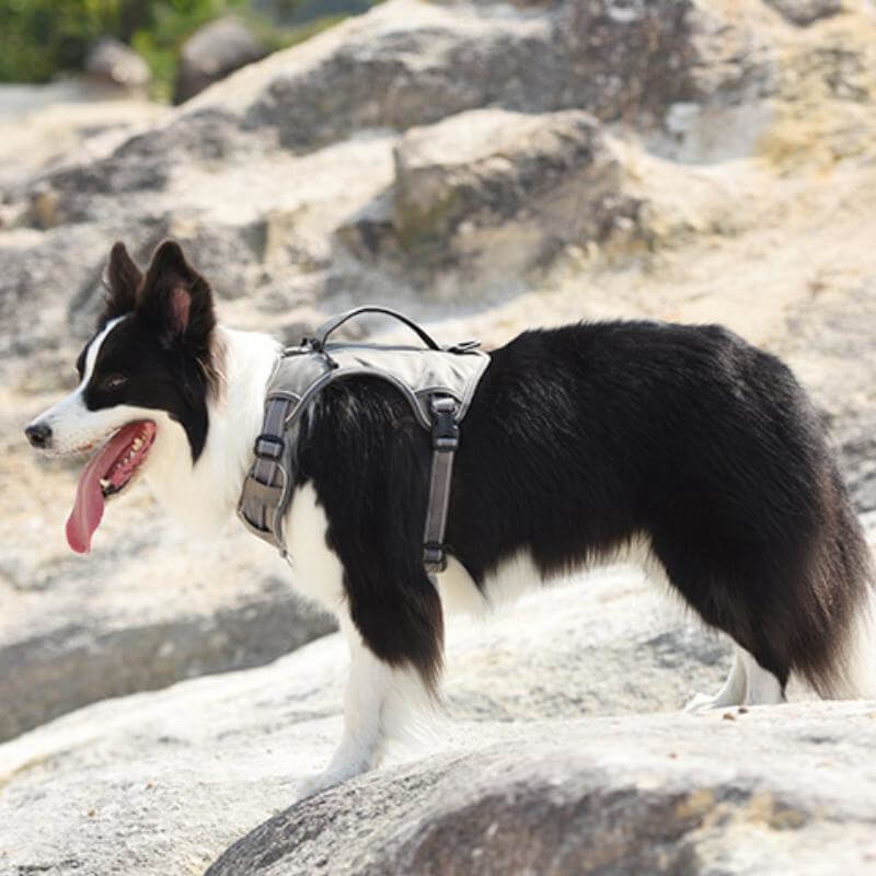 Multifunctional Explosion-Proof Anti-Pull Harness for Medium to Large Dogs-Orizon Depot